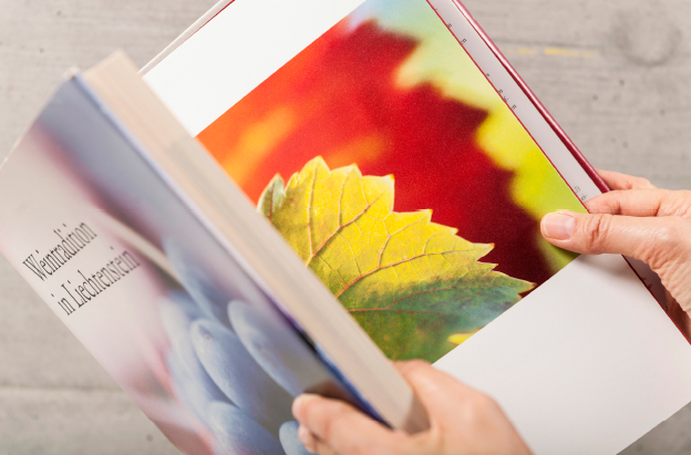 Weintradition in Liechtenstein